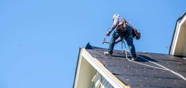 Best Gutter Installation and Roofing  in Lutcher, LA